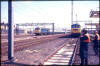 Willesden