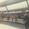 Carlisle north end